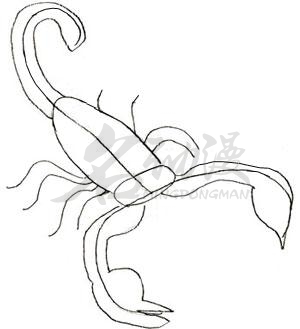 毒蝎简笔画图片