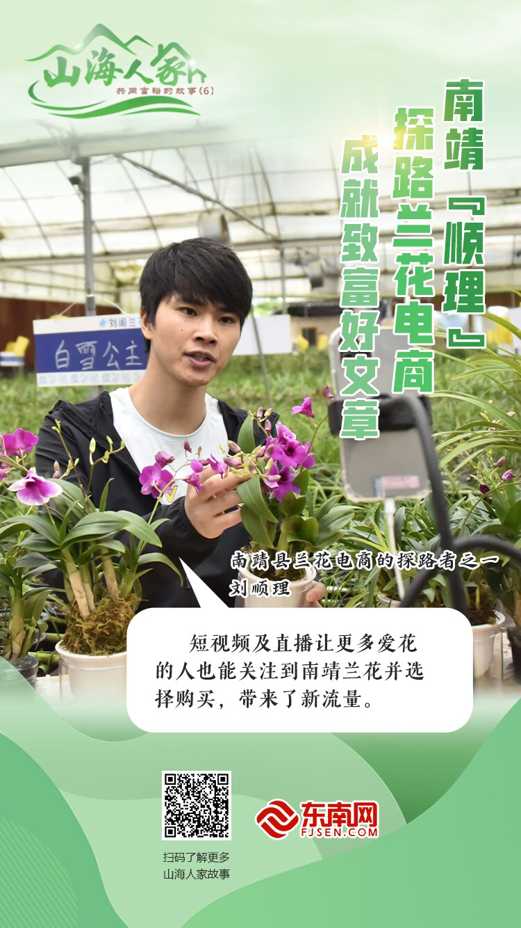 山海人家·共同富裕的故事|南靖顺"理",探路兰花电商,成就致富好文章