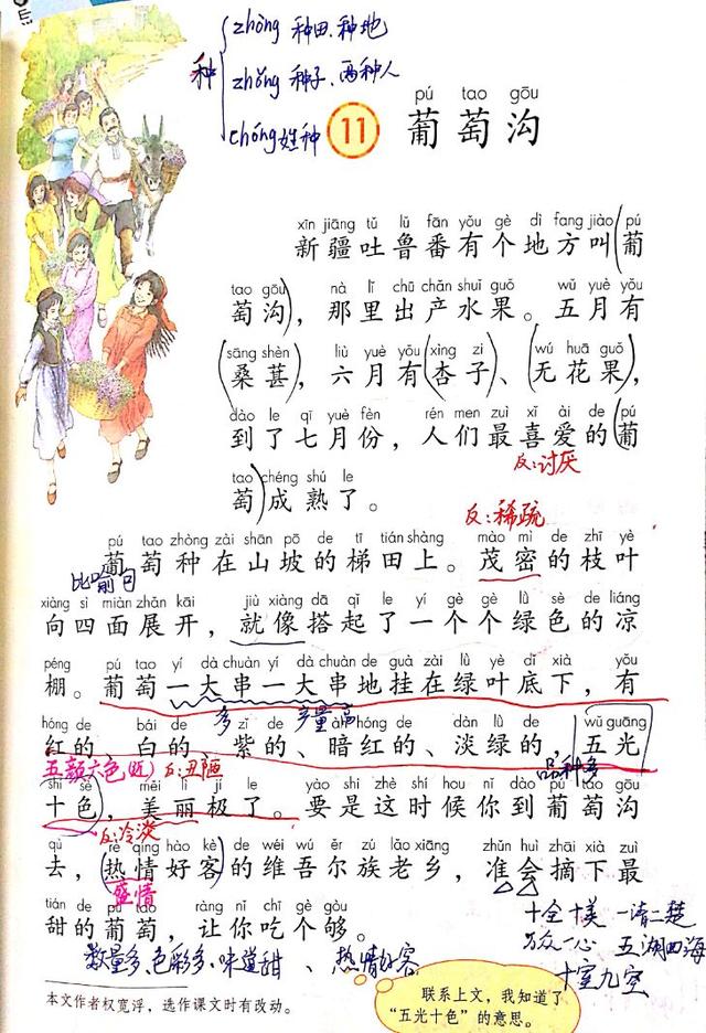 二上语文11《葡萄沟》笔记资料补充