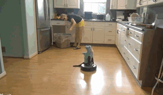 劲敌推低价扫地机器人,3万人薅羊毛,太