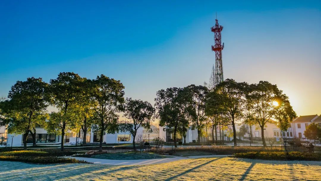 探索松江乡村振兴经验,央市级媒体齐聚叶榭镇