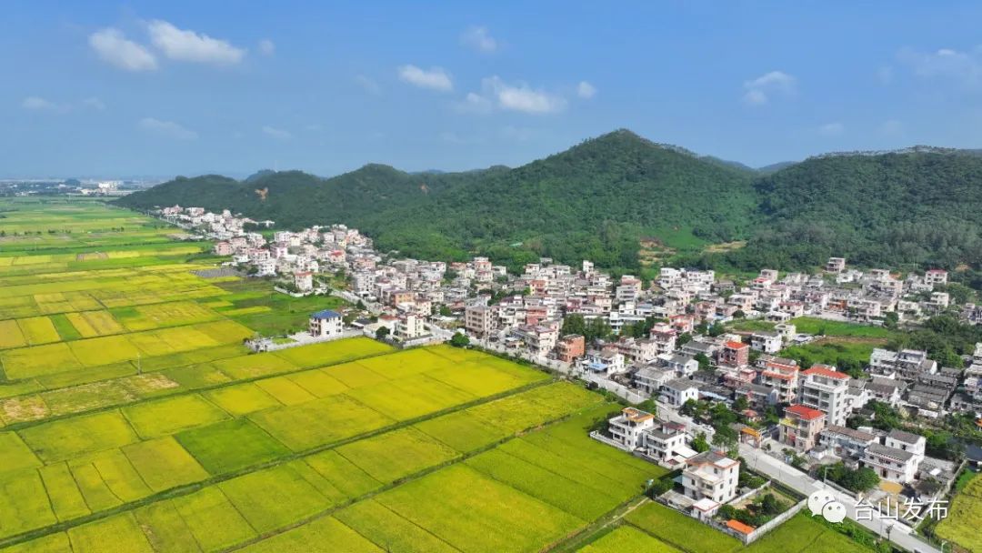 奋战百千万工程 | 擦亮生态底色 打造绿美赤溪