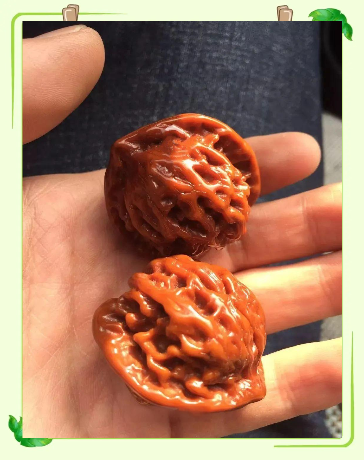 老盘新欢:7年盘山核桃的魅力何在