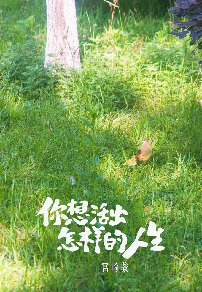 是向阳而生的万物是热烈的盛夏如茵绿草,向荣之木绿荫幽草胜花时晴日