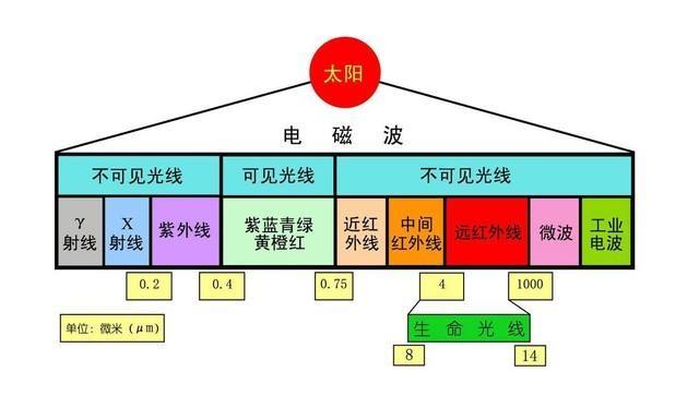 从光的属性与度量谈论植物生长灯插图