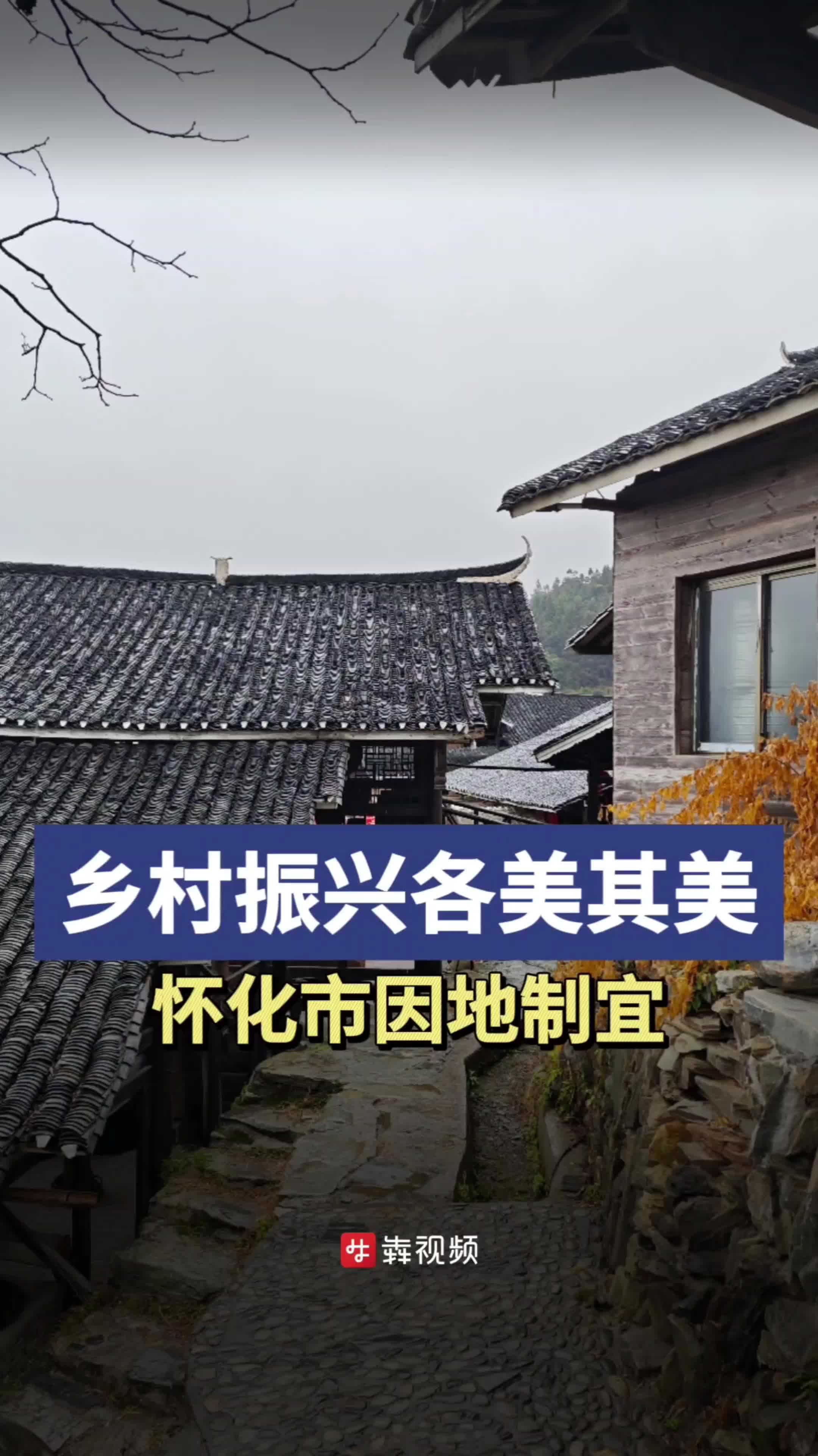 怀化市因地制宜 乡村振兴各美其美
