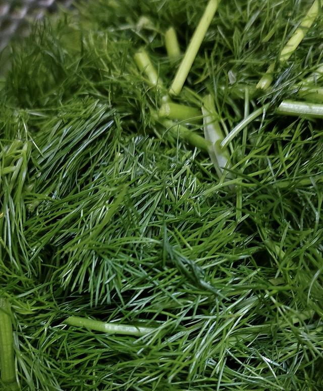 5种自带"青霉素"的食物,夏天常吃,增强免疫力,身体好少生病