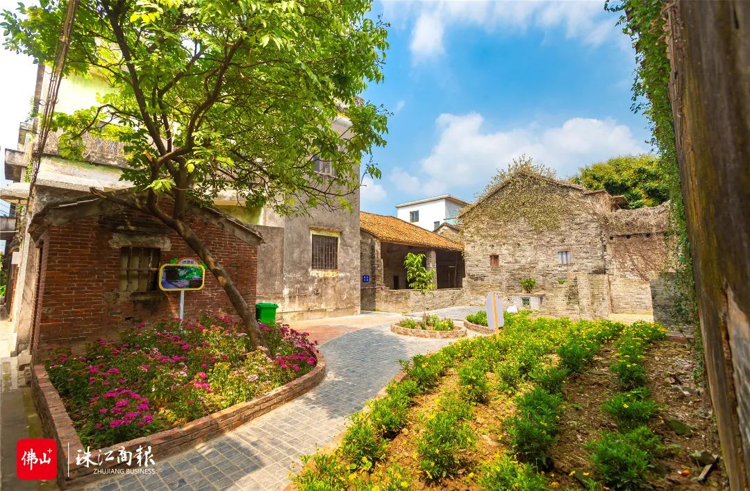 经顺德区农村"四小园"建设暨农村人居环境整治行动整治后,杏坛镇路