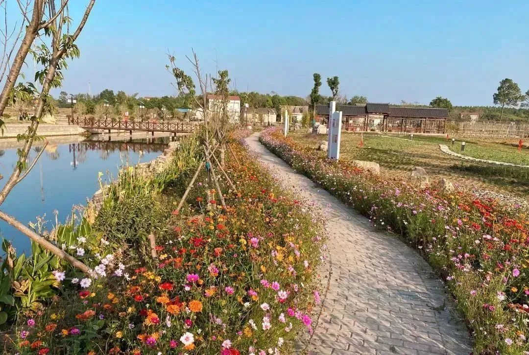 将军故里焕新颜!荆门掇刀区团林铺镇陈集村美丽乡村建设记