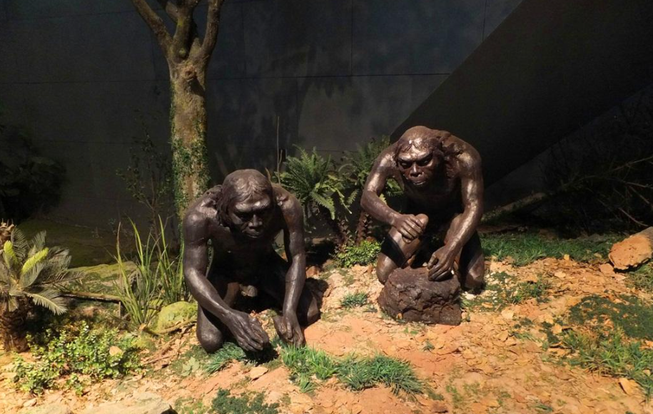 骇人伤痕揭示可怕历史:北京猿人曾遭入侵,沦为食物还被灭绝