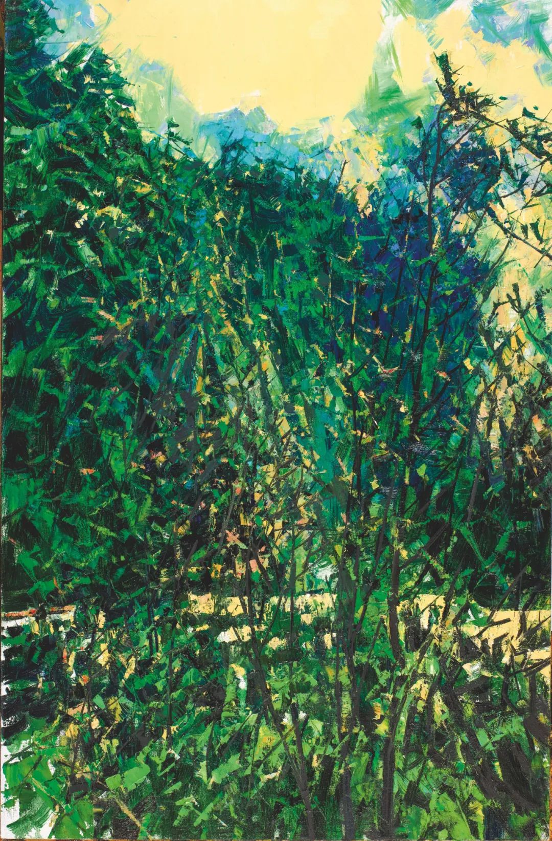 "远望者——许江作品展"于上海开幕