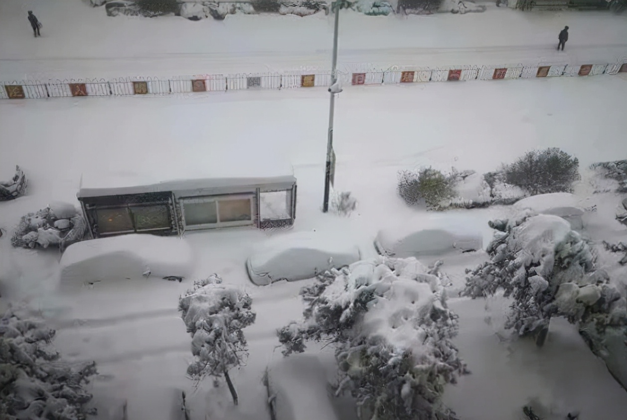 东北遭极端大暴雪袭击!大连蛇岛20000条毒蛇,会被雪灾冻死吗?