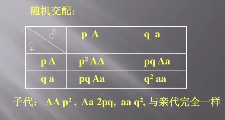你知道pq公式是什么