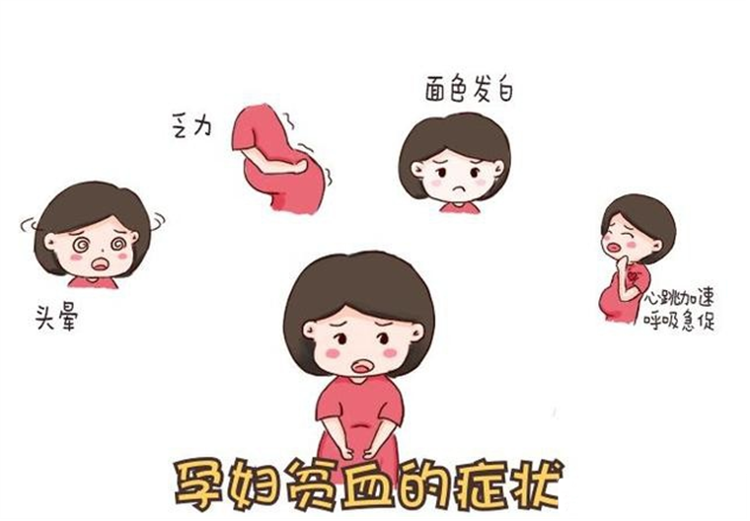 妇幼科普|孕期贫血该如何应对