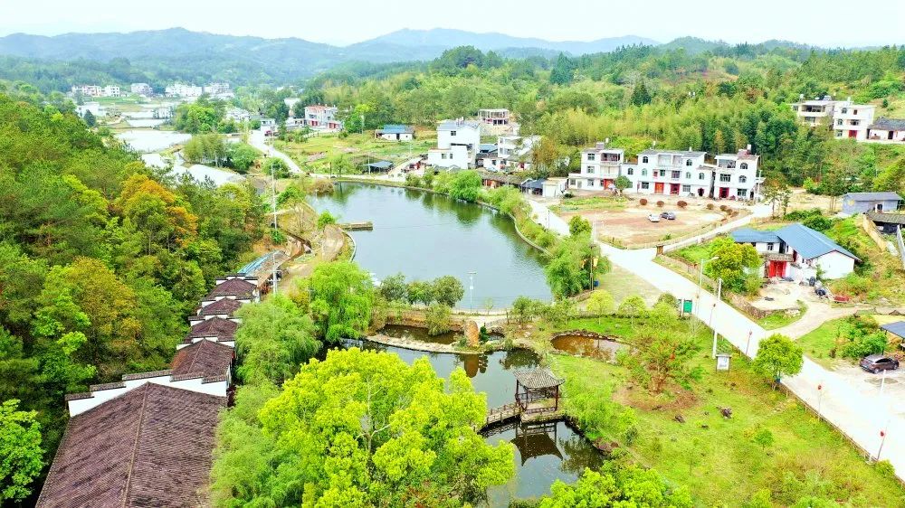 山清水秀的长汀县策武镇南坑村.