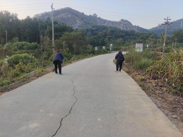瑞昌市白杨镇:植树添新绿,乡道更美丽