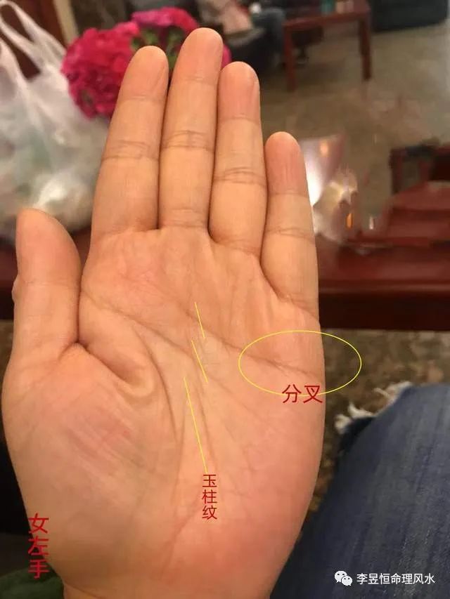 女人离婚手相图片