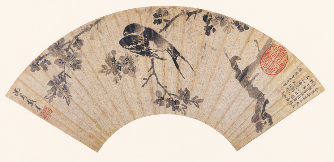 文人墨客为何钟爱墙头红杏