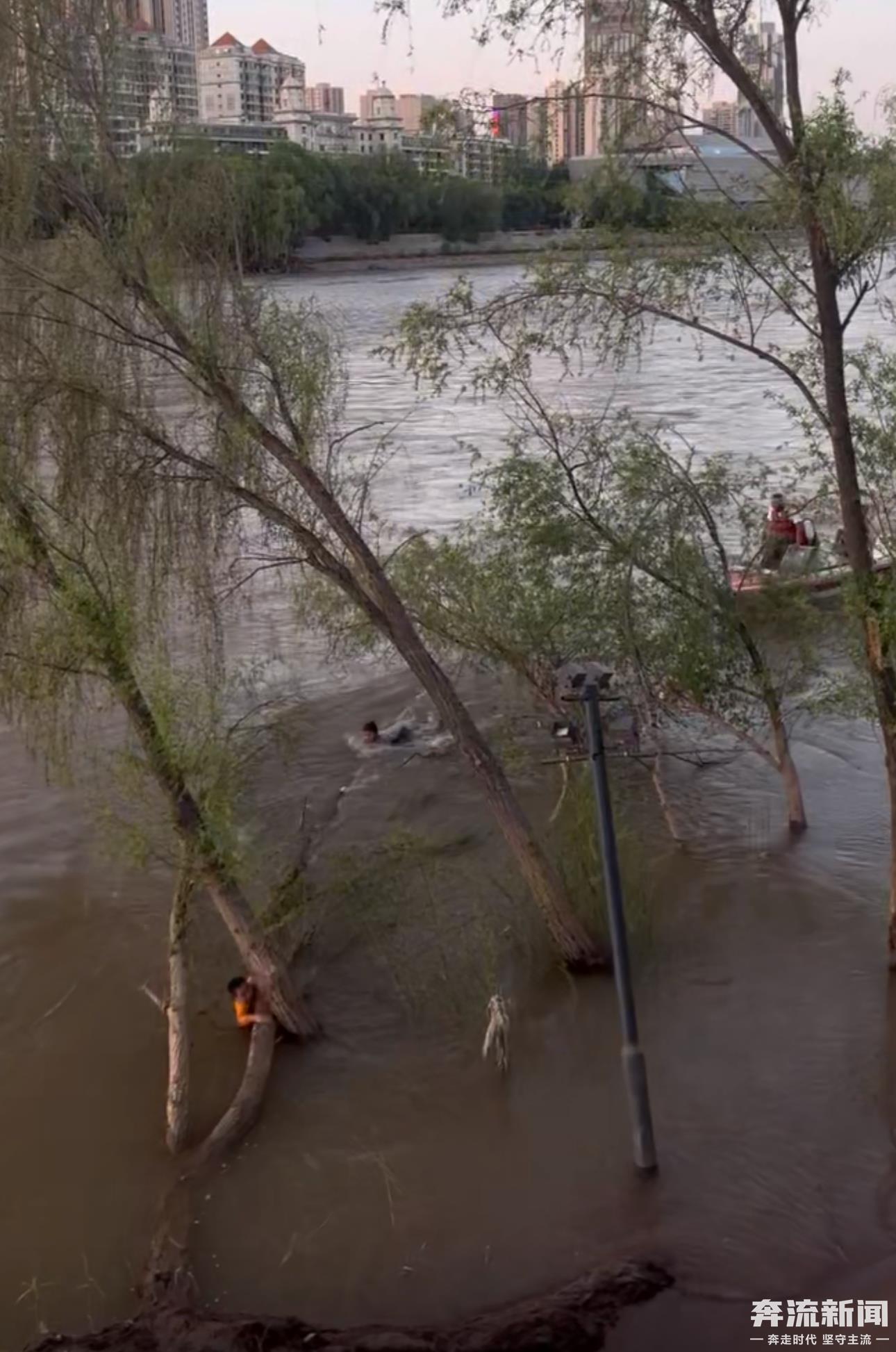 「奔流·记者帮」两名孩童黄河落水,家长急寻救孩子的好心人!