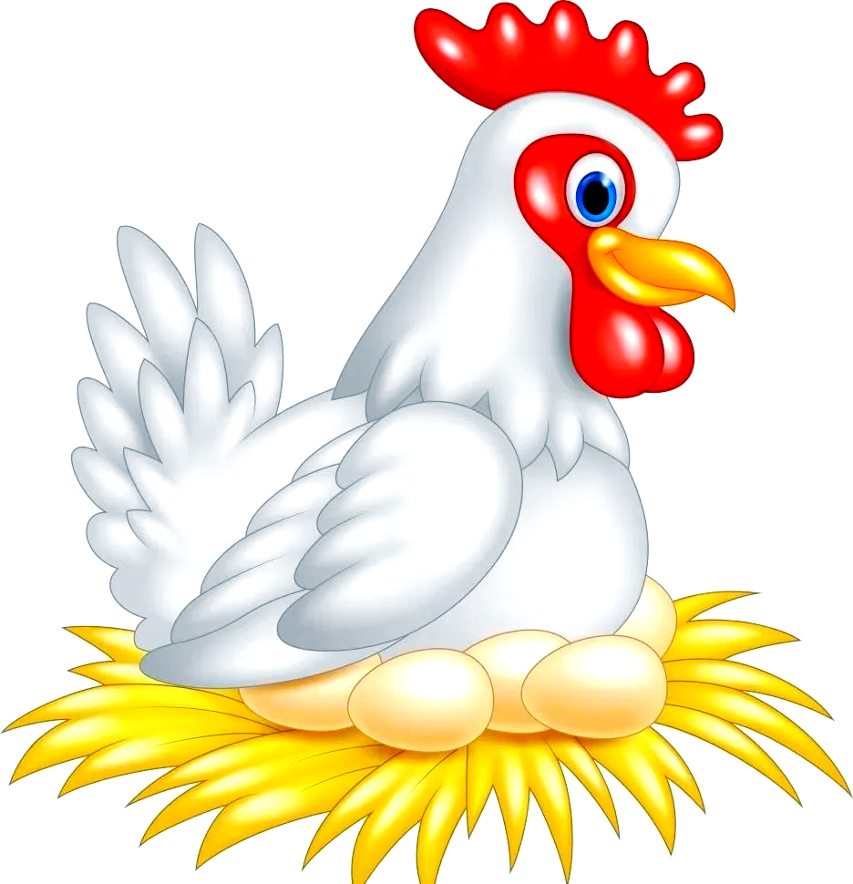 鸡妈妈孵蛋的温馨画面,用美术诠释母爱