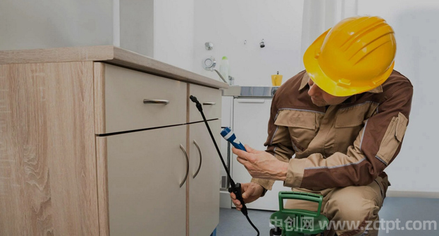 蟑螂是怎么出现在家里的 蟑螂出现家里怎么消除处理 cockroach/YA