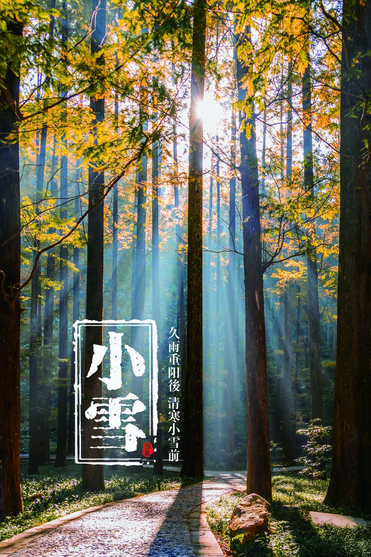 报节气|清寒小雪前