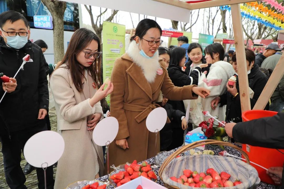 快来吃草莓,做农场主~青浦白鹤草莓文化节让乡村旅游"红"起来!