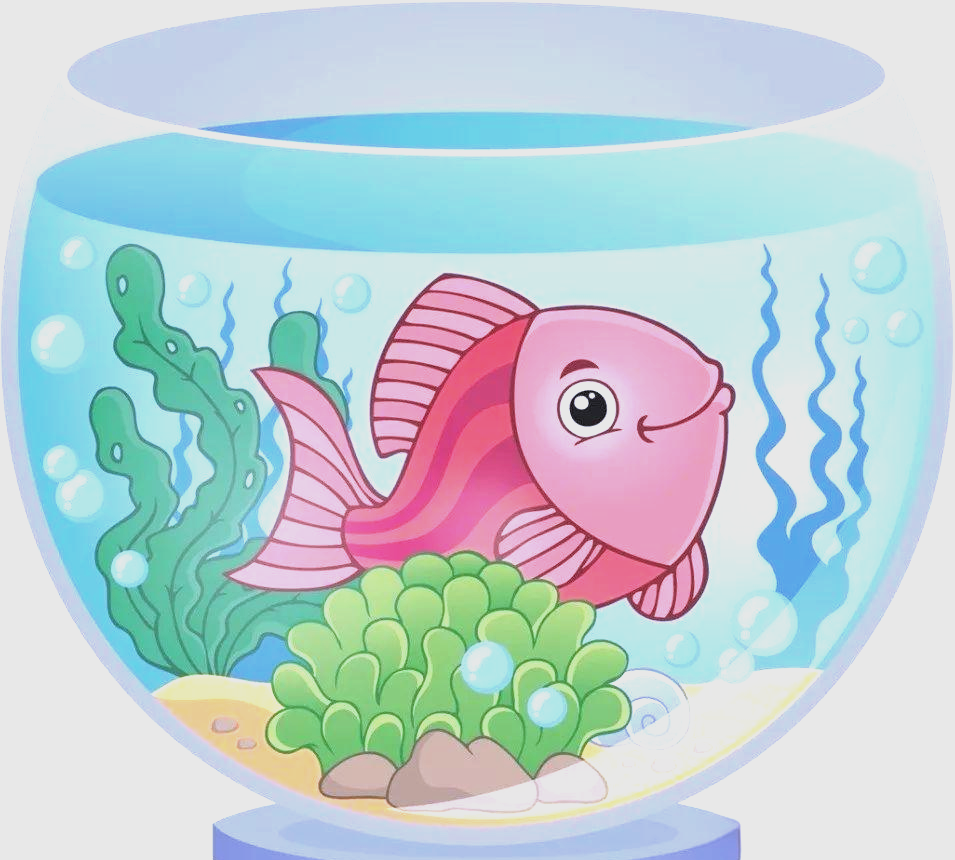 各种颜色的小鱼在水中欢快地游来游去,五彩缤纷,可爱极了