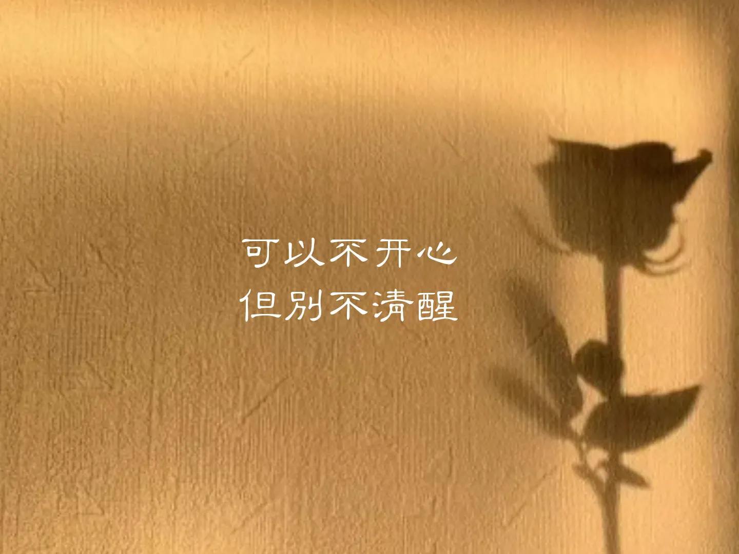 文字头像背景图,余生很贵,为值得的人和事,风雨兼程