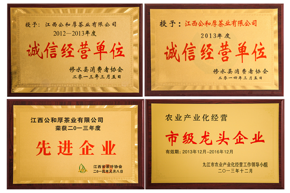 准备买庐山云雾茶来送人,哪个品牌好一些?