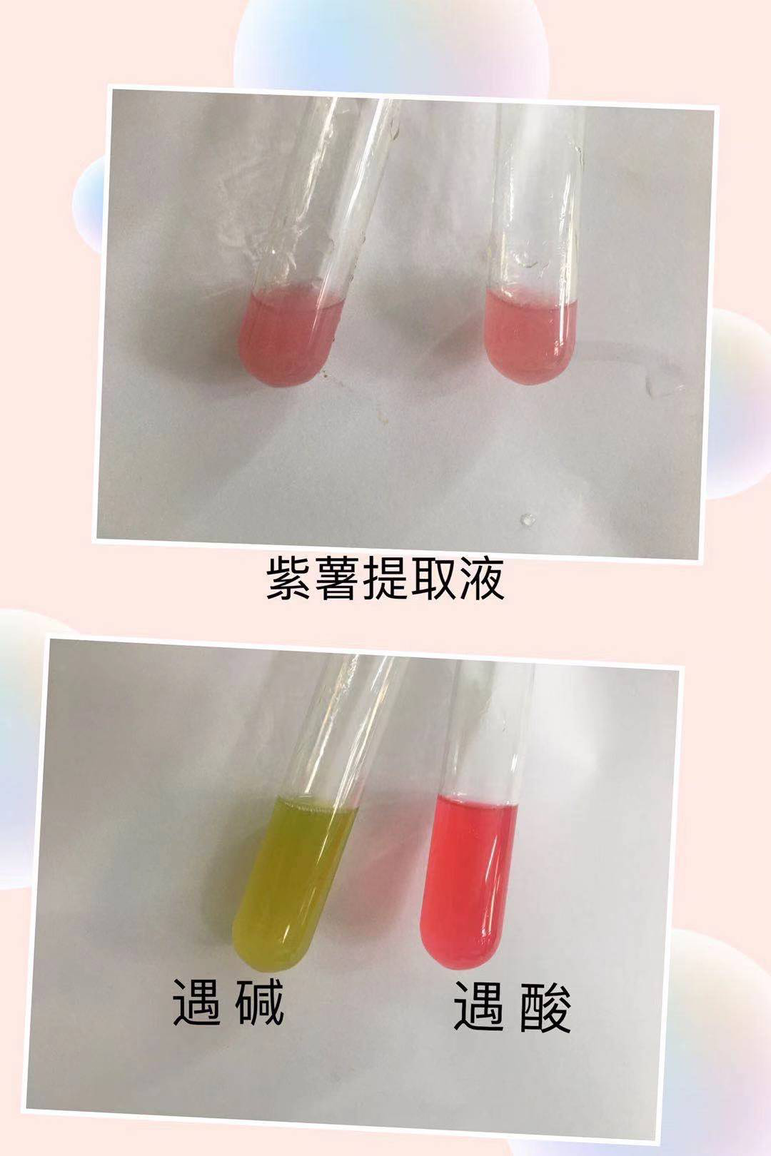 自制酸碱指示器图片