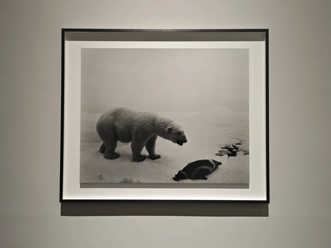 由展览无尽的刹那观照杉本博司艺术观念