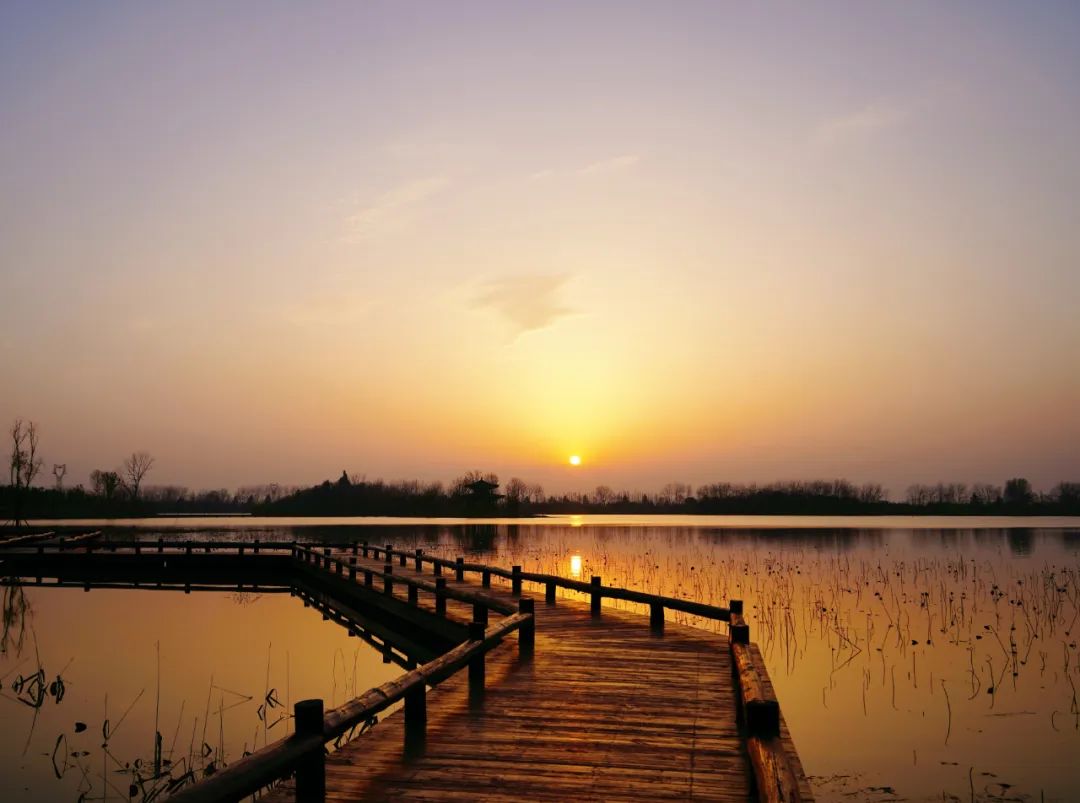 颍州西湖,5.21开始邀您畅游