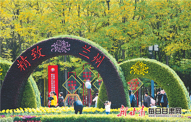 「圖片新聞」蘭州植物園菊花展吸引市民觀賞遊玩