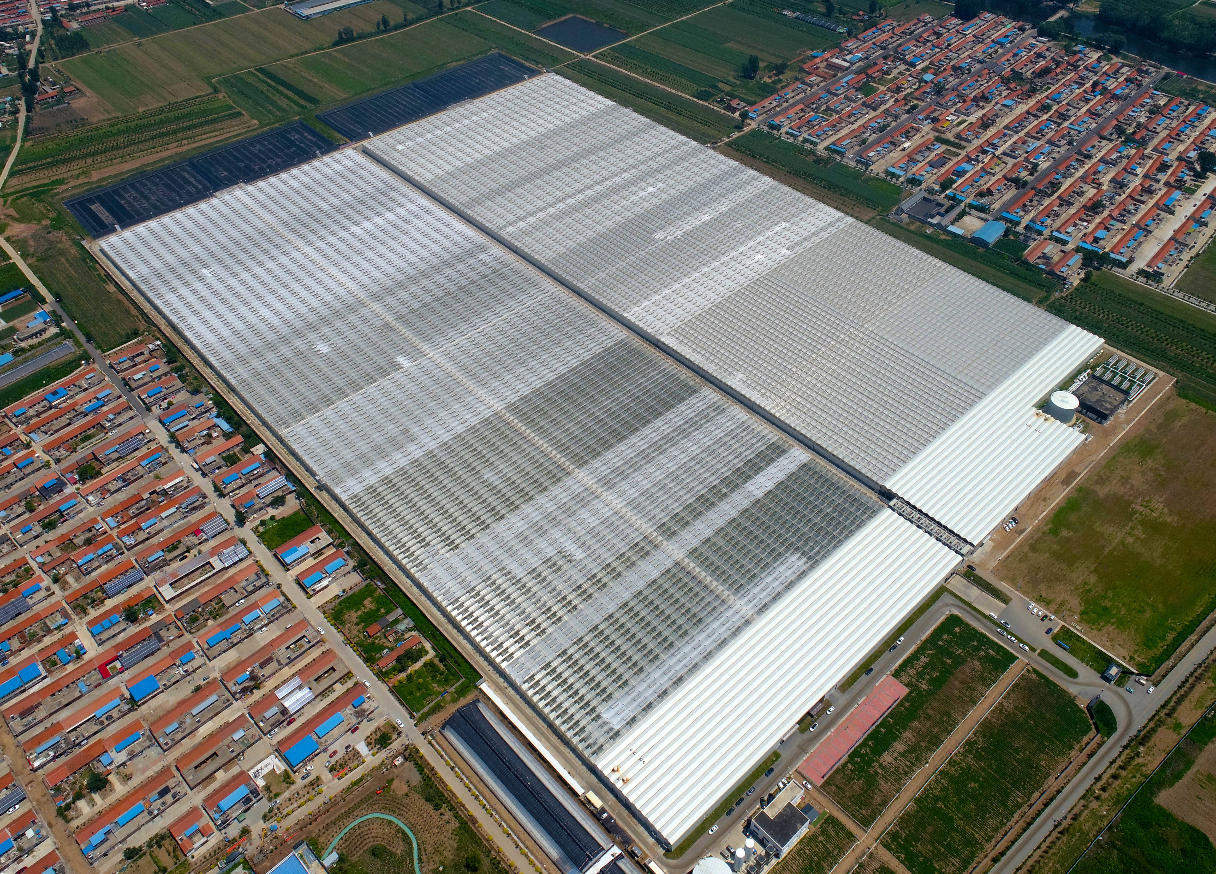 智慧赋能!青岛莱西现代设施农业满满"科技范"