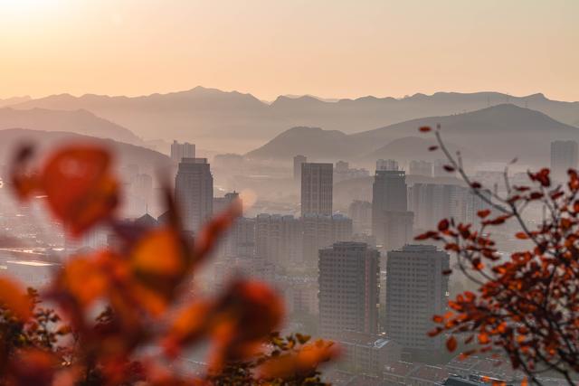 初冬，忍不住想来济南这些宝藏公园逛逛！风景美得像画一样～