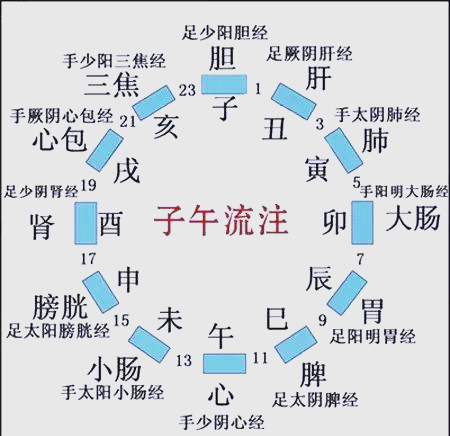 針灸時間治療学 : 子午流注法 川井正久, 王永錚 編著 針灸時間治療学