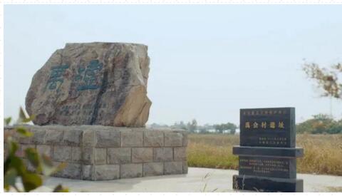 蚌埠禹会村遗址2021年度考古发掘项目全面启动