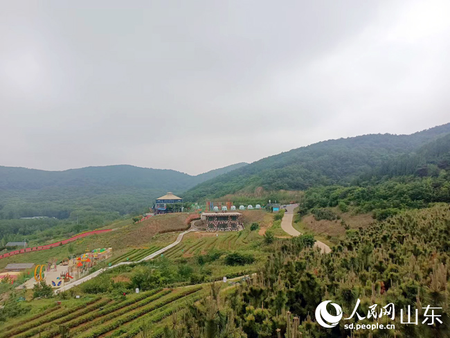 诸城市林家村镇:生态兴农 文旅富农 乡村振兴有奔头