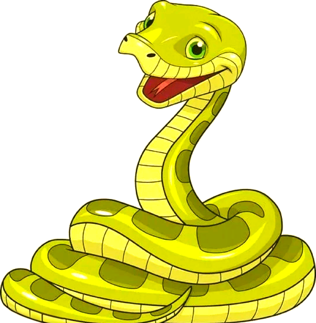 探索被蟒蛇吞下的感受:科学家亲身实验,记录惊险过程