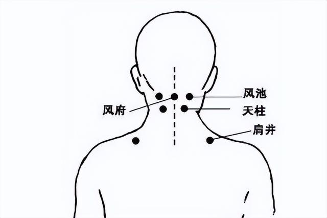 肩颈上三个经络肩膀图片