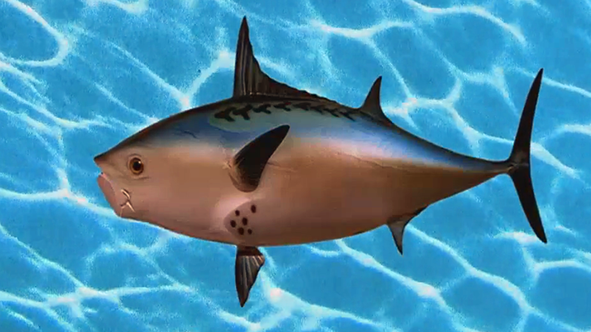 海绵宝宝:动漫里隐喻多,菠萝房暗示着什么?其实是漫友脑补过多