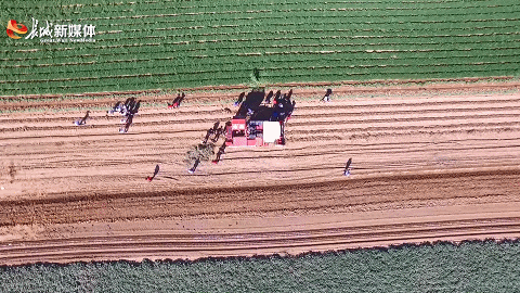 百名劳模宣讲丨郭秀云:让花生落地"生金"