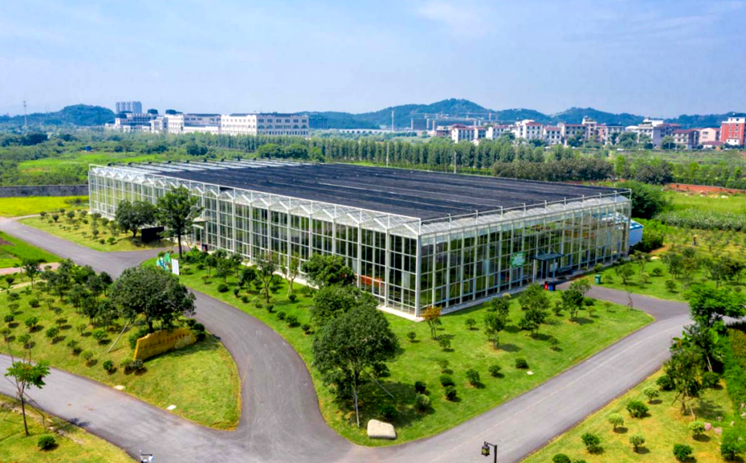 森山健康小镇农民田间学校入选全国共享名单