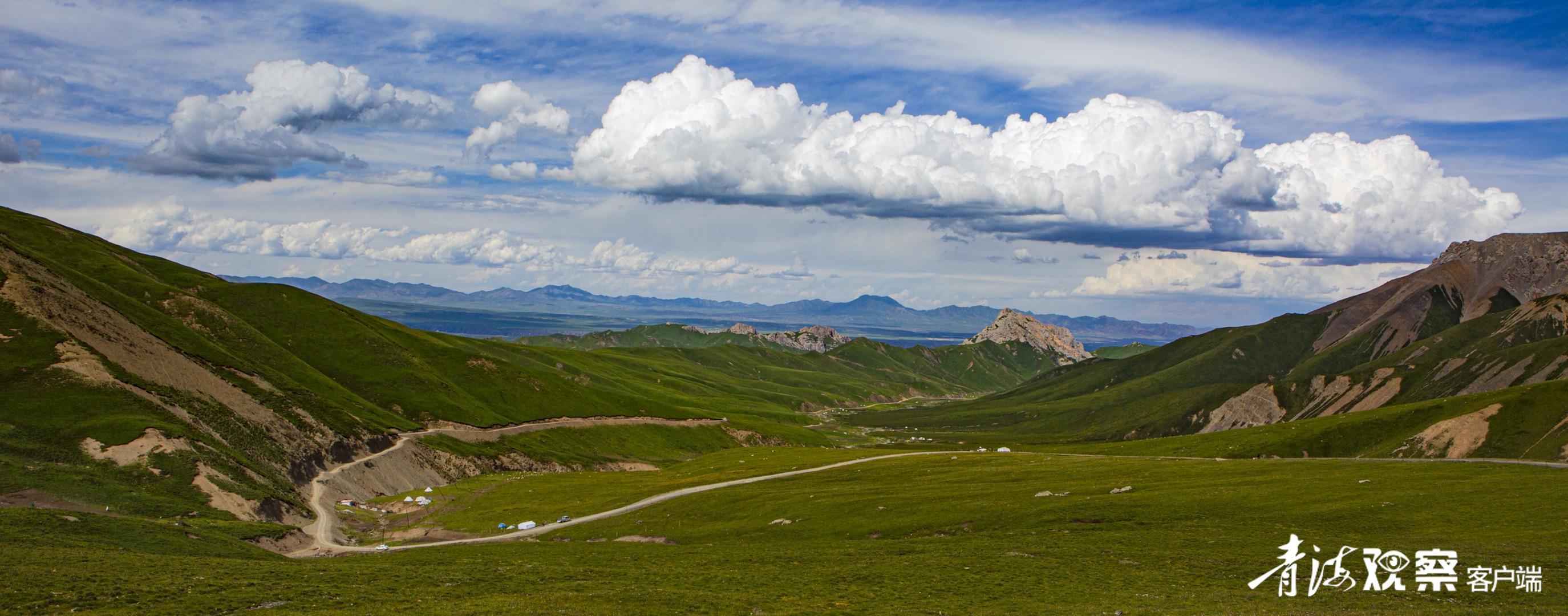 共护兴海草原生态