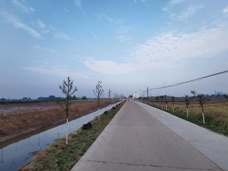 荆州红色印记」回响于田垄的革命呐喊——寻访公安县夹竹园镇陈祠桥村