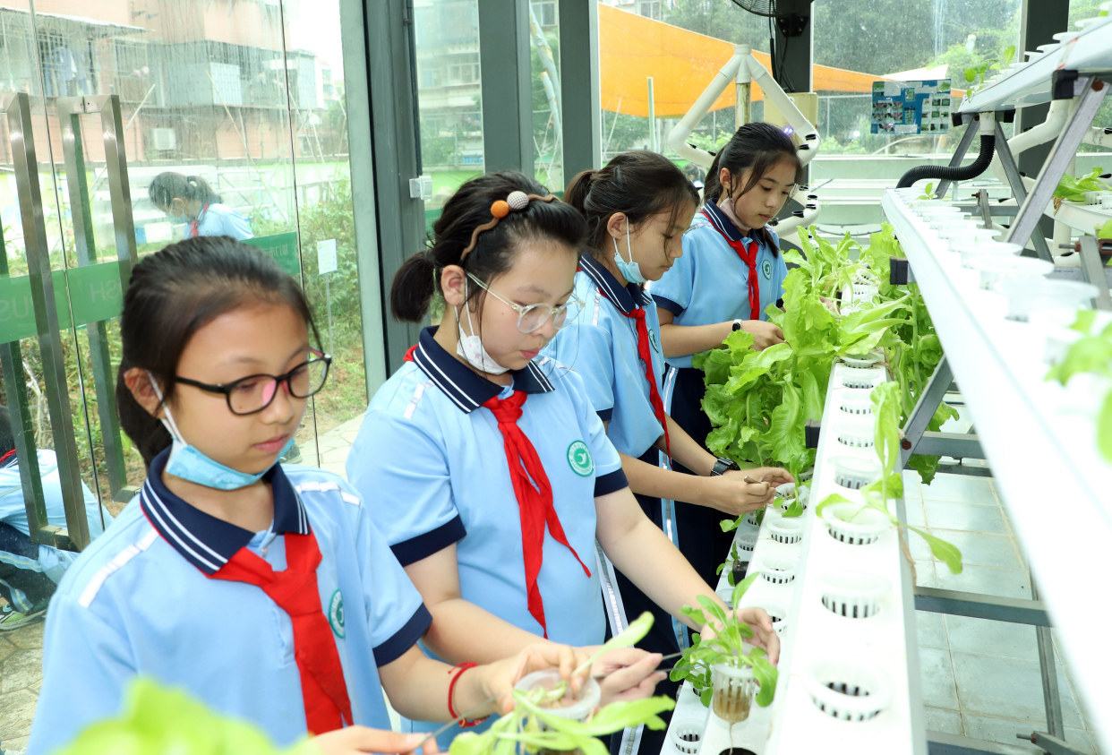 近日,厦门市云顶学校教师洪辉上了一堂特殊的综合实践课,来自厦门市