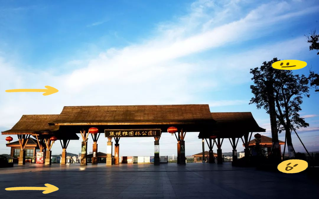 张坝桂圆林:绿色氧吧与休闲胜地