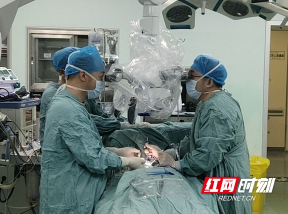 杨梅好吃树难爬 省人民医院收治多名脊椎骨折高位截瘫者