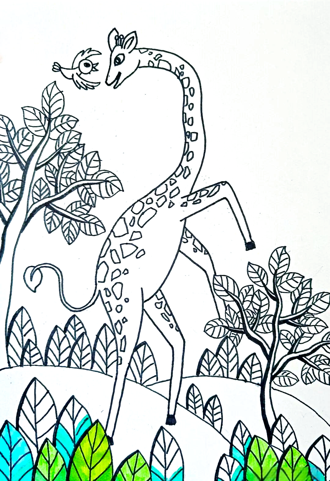 长颈鹿的优雅舞蹈